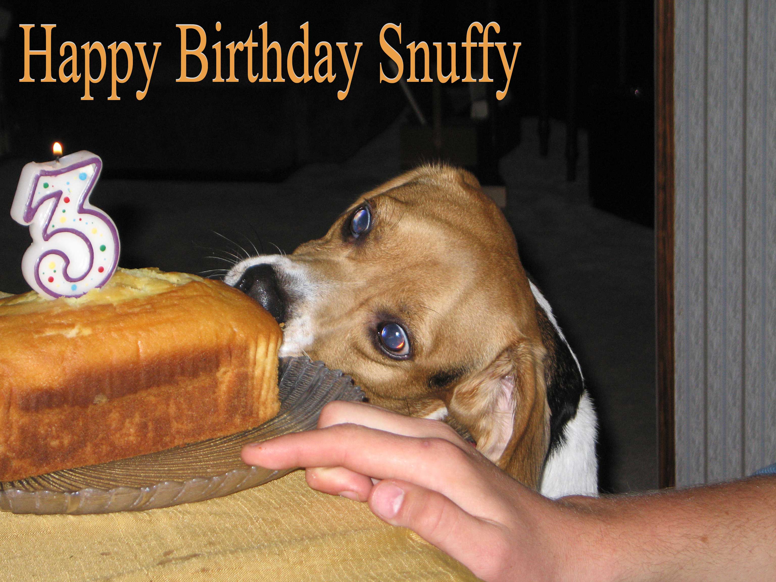 Snuffy's Bithday