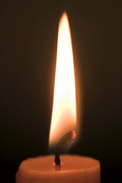 P169245 m