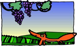 Fox  Grapes