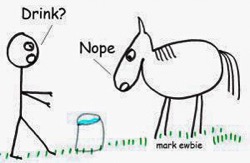 Horse to water 2