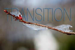 Transition