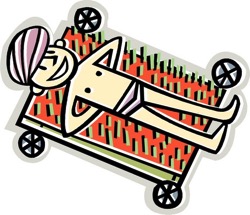 Bed of nails