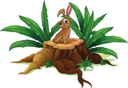 Roots