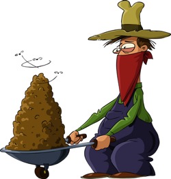 Manure