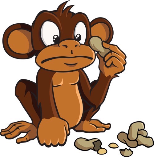 Monkey