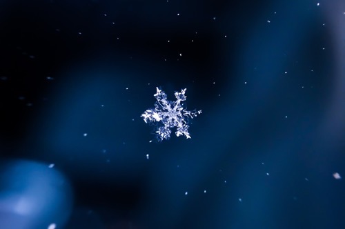 Darius cotoi d8cKjamtQH4 unsplash